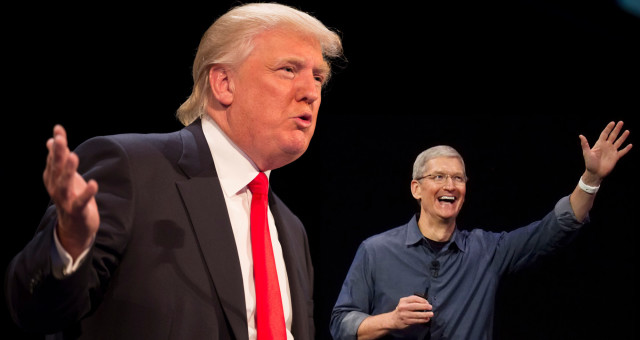 tim cook